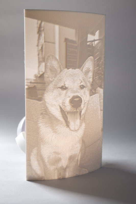 Personalisierte 3D-Lithophanie mit LED | Foto in leuchtendes Kunstwerk verwandeln | Individuelles Geschenk mit tiefem Emotionseffekt